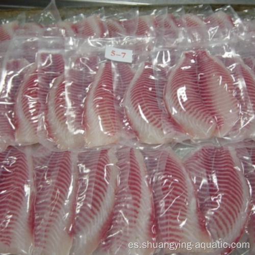 PBO IVP Filetes de tilapia congelados 5-7oz Estándar de la UE